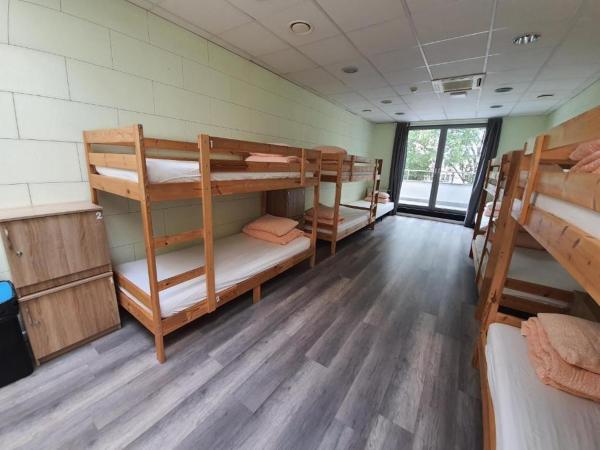 Sea Hostel : photo 4 de la chambre chambre familiale