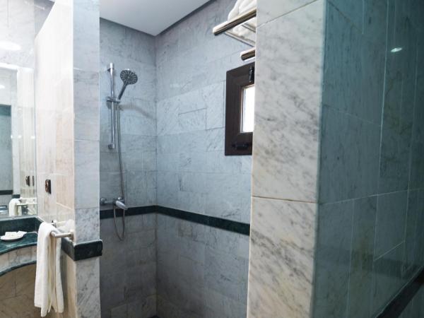 Résidence Hôtelière Le Diamant Vert : photo 3 de la chambre appartement deluxe