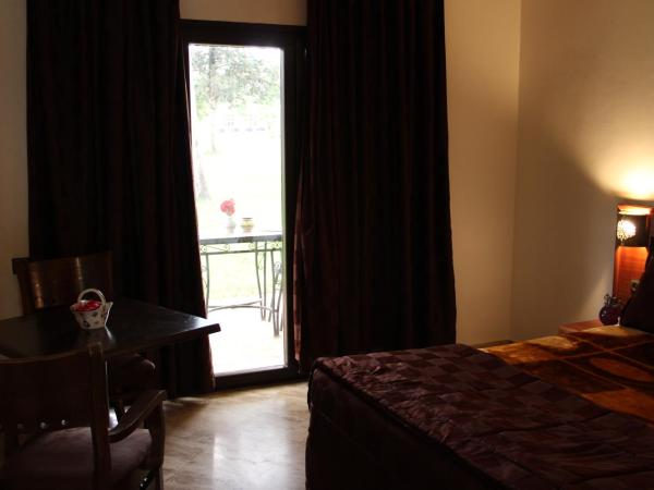 Résidence Hôtelière Le Diamant Vert : photo 3 de la chambre studio