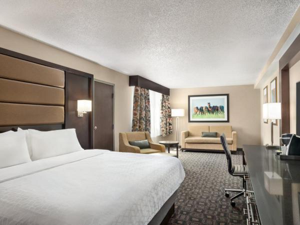 Holiday Inn Louisville East - Hurstbourne, an IHG Hotel : photo 2 de la chambre suite lit king-size