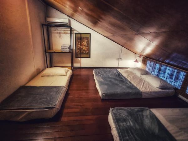 Treehouse Hostel : photo 5 de la chambre chambre triple basique