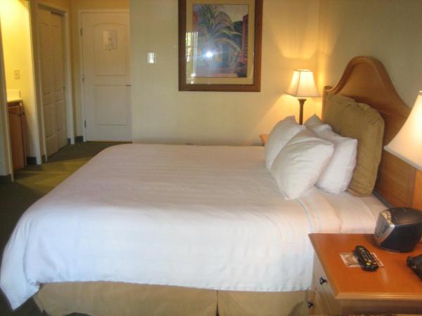 Monumental Hotel Orlando : photo 7 de la chambre chambre lit king-size