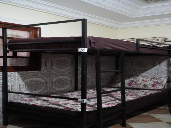 Hostel Dream belko : photo 1 de la chambre lit superposé dans dortoir mixte