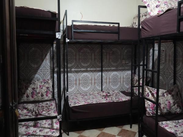 Hostel Dream belko : photo 5 de la chambre lit superposé dans dortoir mixte