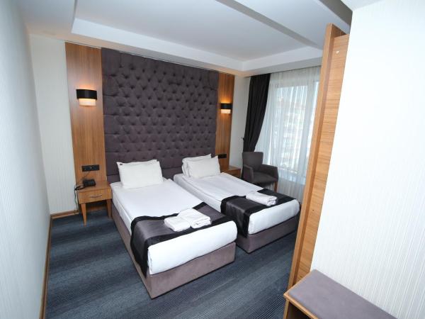 Grand Silay Hotel : photo 8 de la chambre chambre lits jumeaux Économique