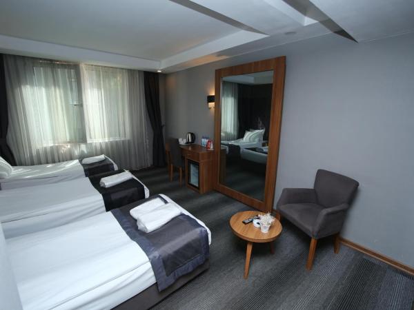 Grand Silay Hotel : photo 4 de la chambre chambre triple basique