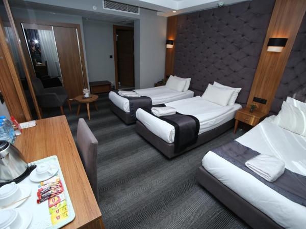 Grand Silay Hotel : photo 5 de la chambre chambre triple basique