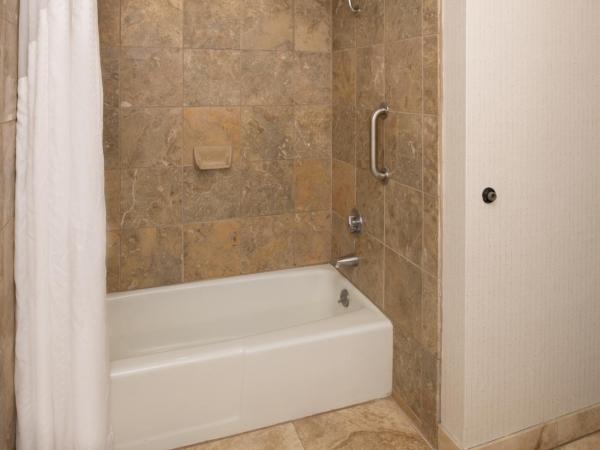 Holiday Inn Portland - Columbia Riverfront, an IHG Hotel : photo 4 de la chambre chambre standard