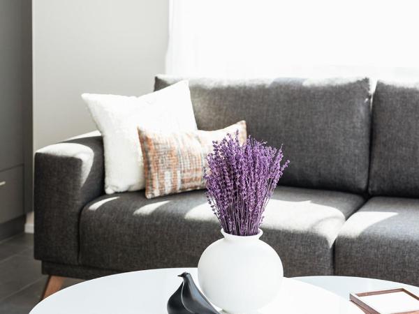 Lamira - Serviced Apartments : photo 2 de la chambre appartement