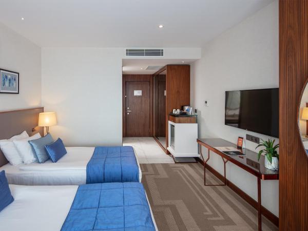 Lionel Hotel Istanbul : photo 8 de la chambre chambre double ou lits jumeaux supérieure