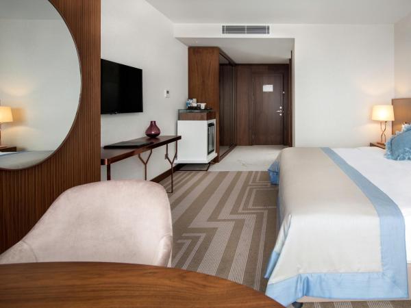 Lionel Hotel Istanbul : photo 6 de la chambre chambre double ou lits jumeaux supérieure