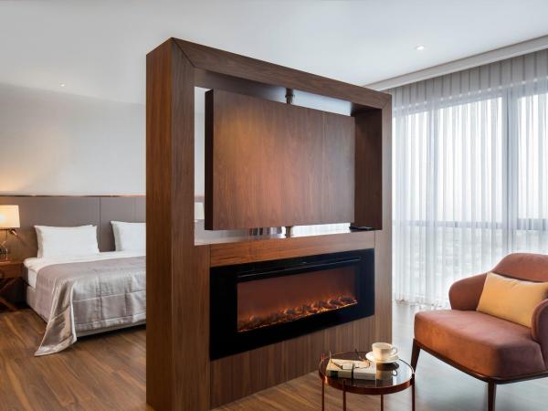 Lionel Hotel Istanbul : photo 5 de la chambre suite junior - vue sur golden horn