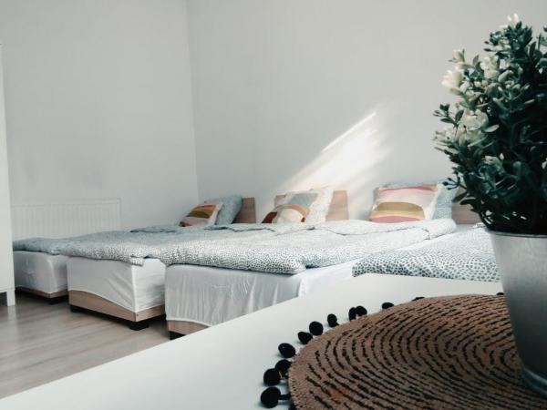 Tanie spanie przy Malcie - Zameldowanie bezobsługowe - : photo 2 de la chambre chambre familiale avec salle de bains commune