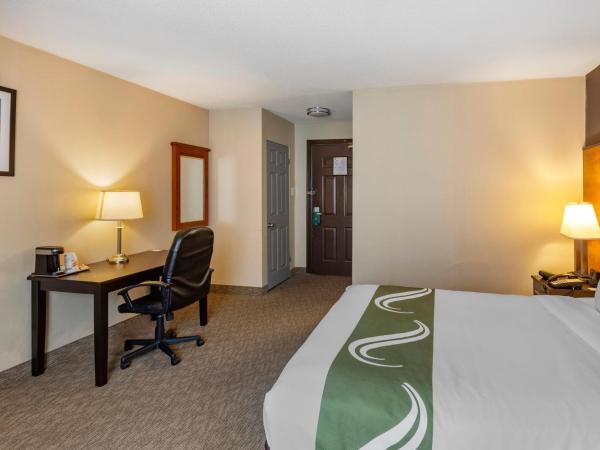 Quality Inn Toronto Airport : photo 6 de la chambre chambre lit king-size affaires