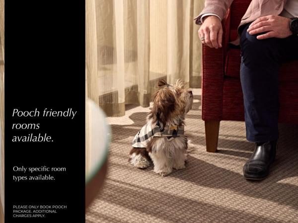 View Sydney : photo 1 de la chambre chambre lit queen-size - vue sur port - animaux domestiques admis