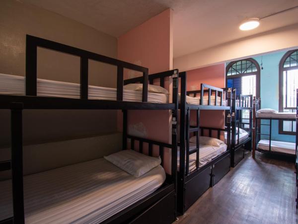 Travel Hub Guesthouse : photo 1 de la chambre lit simple dans dortoir mixte