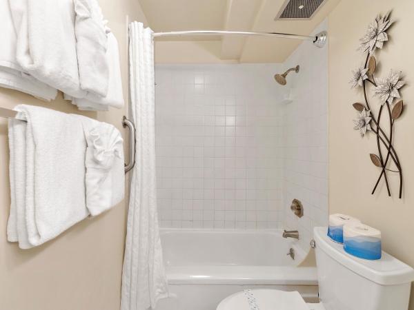 Pacific Monarch - 1 BR - Ocean and City Views! : photo 7 de la chambre appartement - vue sur mer