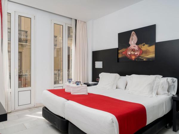 Hotel Del Pintor : photo 3 de la chambre chambre lits jumeaux standard