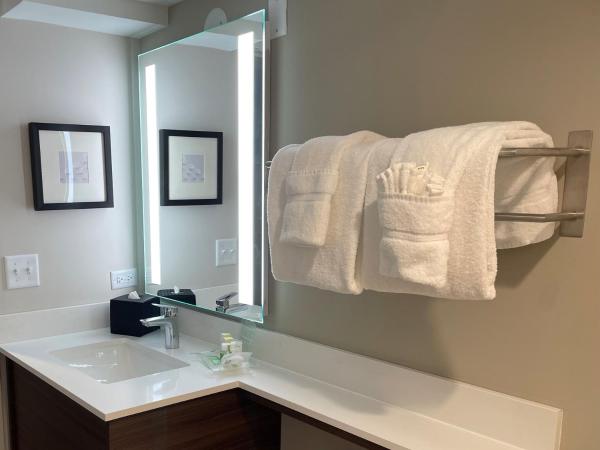 Holiday Inn Hotel & Suites Chicago - Downtown, an IHG Hotel : photo 1 de la chambre chambre standard