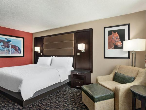 Holiday Inn Louisville East - Hurstbourne, an IHG Hotel : photo 3 de la chambre chambre lit king-size - accessible aux personnes à mobilité réduite