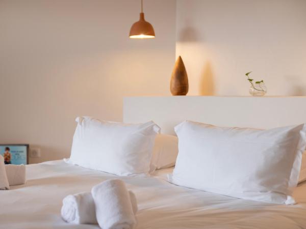 VILLA FLAKA Boutique Hôtel Confidentiel et Convivial : photo 2 de la chambre suite - vue sur jardin