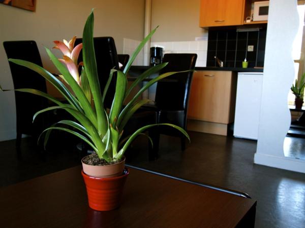 Appart'hotel Les Palatines : photo 4 de la chambre studio