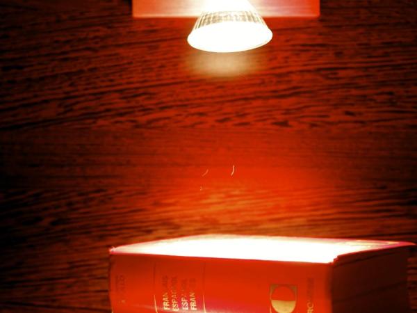 Appart'hotel Les Palatines : photo 7 de la chambre studio