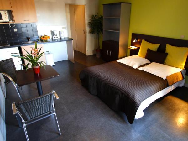Appart'hotel Les Palatines : photo 6 de la chambre studio