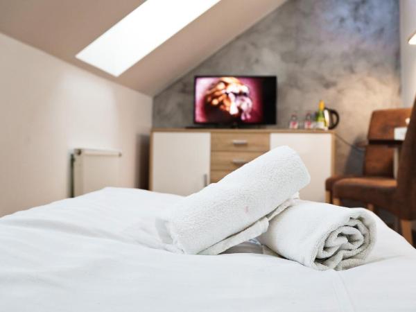 U Šípků : photo 3 de la chambre chambre lits jumeaux deluxe