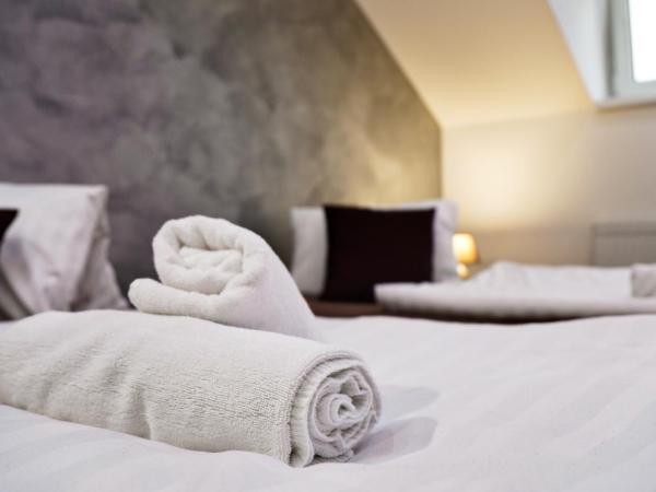 U Šípků : photo 6 de la chambre chambre lits jumeaux deluxe