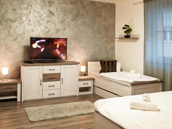 U Šípků : photo 9 de la chambre appartement standard