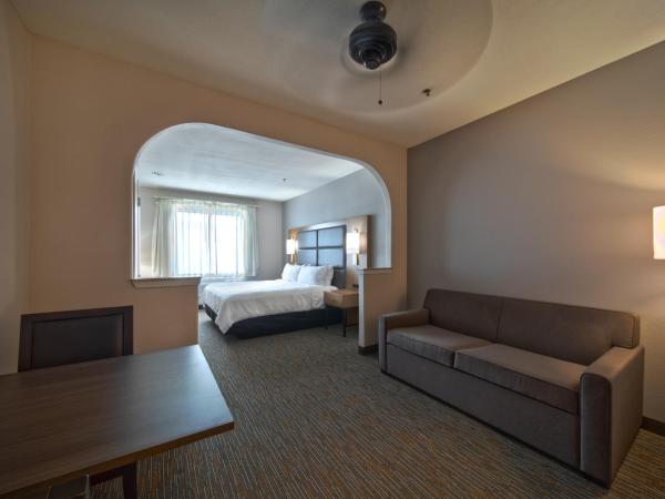 Wingate by Wyndham Houston Bush Intercontinental Airport : photo 2 de la chambre suite studio lit king-size - non-fumeurs