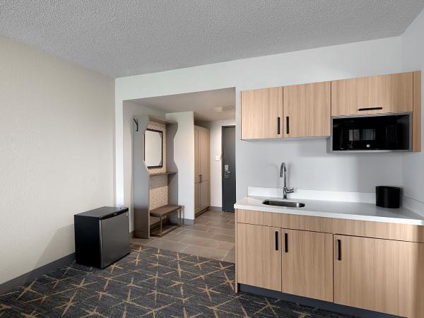 Holiday Inn Hotel & Suites Chicago - Downtown, an IHG Hotel : photo 3 de la chambre suite lit king-size avec canapé-lit