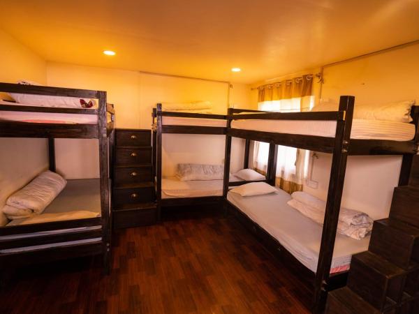 Gypsy Hostel & Backpackers : photo 1 de la chambre lit dans dortoir pour hommes