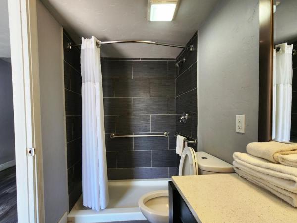 Red Lion Inn & Suites Tucson Downtown : photo 3 de la chambre chambre lit king-size pour personnes à mobilité réduite - non-fumeurs