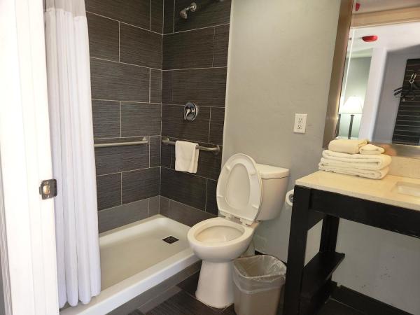 Red Lion Inn & Suites Tucson Downtown : photo 5 de la chambre chambre lit king-size pour personnes à mobilité réduite - non-fumeurs