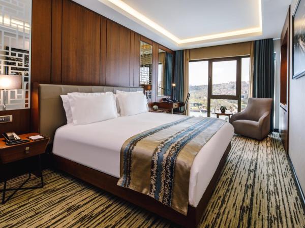 Clarion Hotel Golden Horn : photo 1 de la chambre chambre double deluxe - vue sur mer