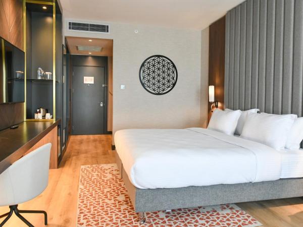 Crowne Plaza Ankara, an IHG Hotel : photo 3 de la chambre premium king room with lounge access - non-smoking