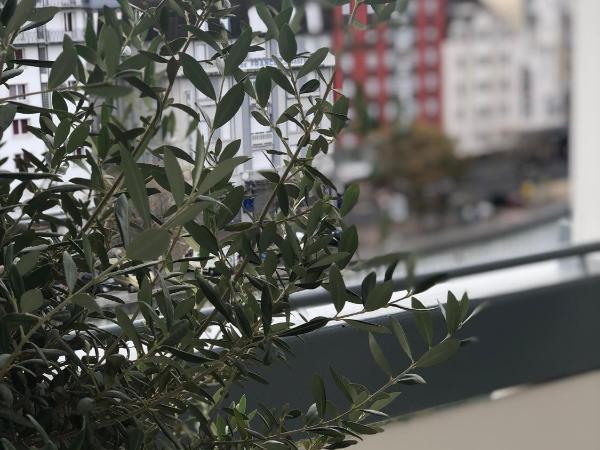 Grand Hôtel d'Espagne : photo 8 de la chambre chambre lits jumeaux avec balcon