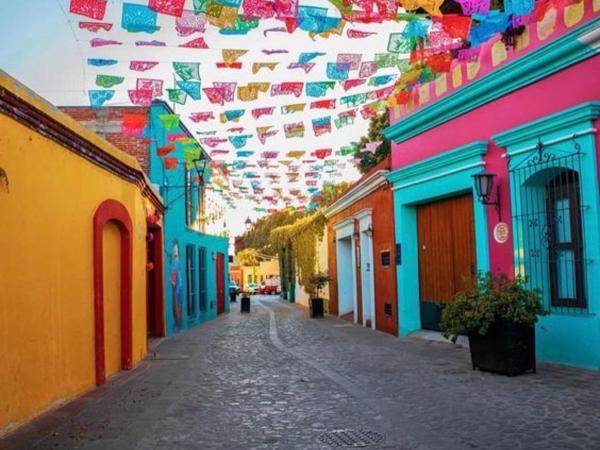 Los Nardos Hostel -pet friendly- : photo 4 de la chambre chambre double standard