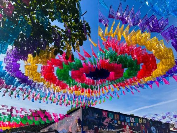 Los Nardos Hostel -pet friendly- : photo 9 de la chambre chambre familiale