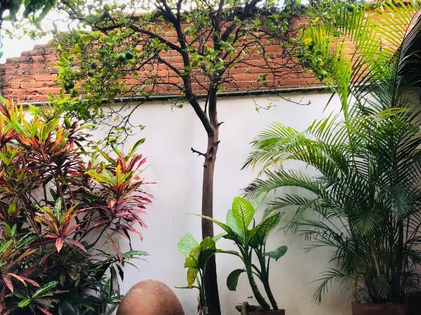 Los Nardos Hostel -pet friendly- : photo 6 de la chambre chambre double Économique