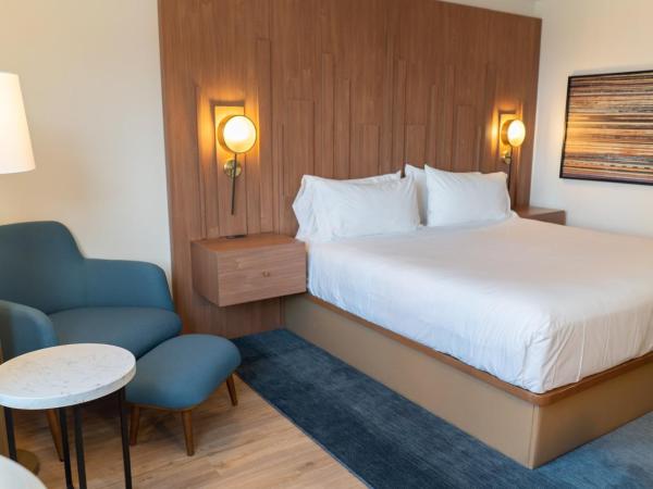 Hotel Indigo Detroit Downtown, an IHG Hotel : photo 6 de la chambre chambre standard