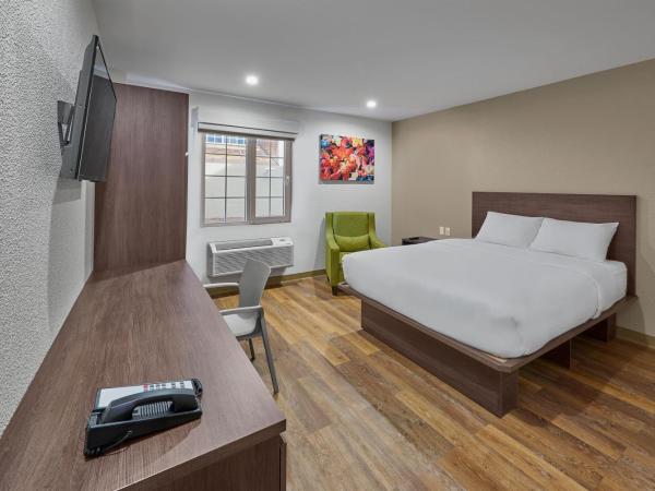 Extended Suites Cancun Cumbres : photo 1 de la chambre suite lit queen-size