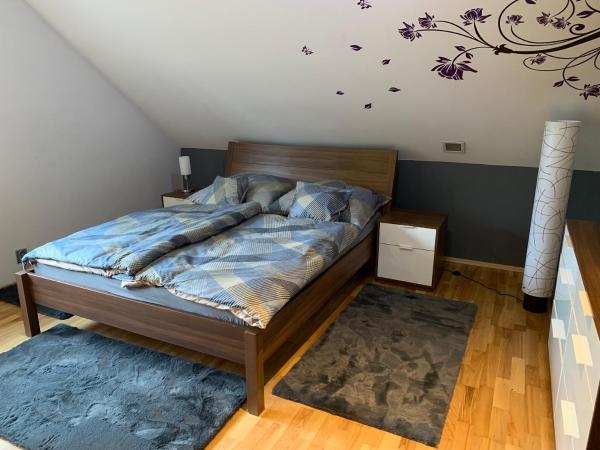 Apartmány City 2 : photo 3 de la chambre chambre familiale avec sauna