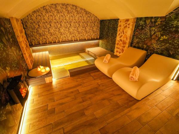 Hotel Il Guercino : photo 1 de la chambre chambre double ou lits jumeaux avec accès spa