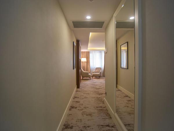 Ramada Plaza Sultanahmet : photo 9 de la chambre suite d'angle avec lit king-size et balcon