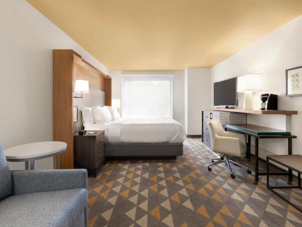 Holiday Inn Houston Intercontinental Airport, an IHG Hotel : photo 4 de la chambre chambre lit king-size premium
