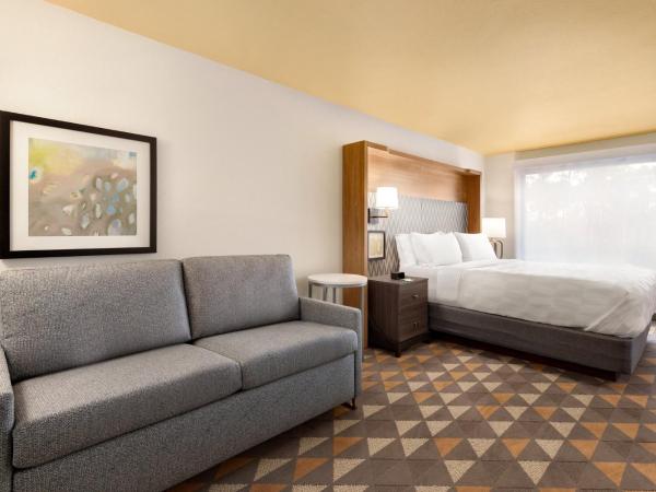 Holiday Inn Houston Intercontinental Airport, an IHG Hotel : photo 3 de la chambre chambre lit king-size premium