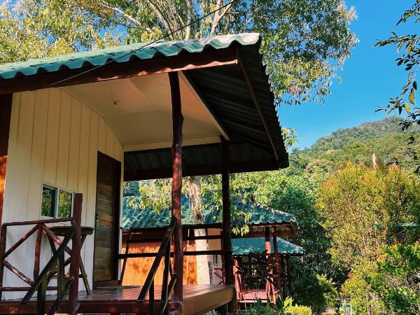 LONELY GROOVE : photo 3 de la chambre bungalow - vue sur jardin